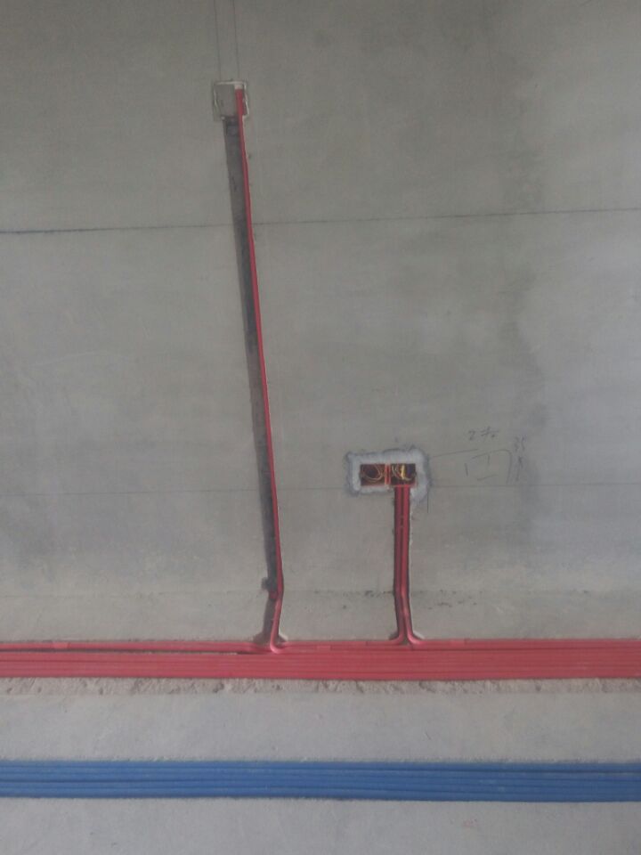 ףR5-1-1202Ůʿլ_